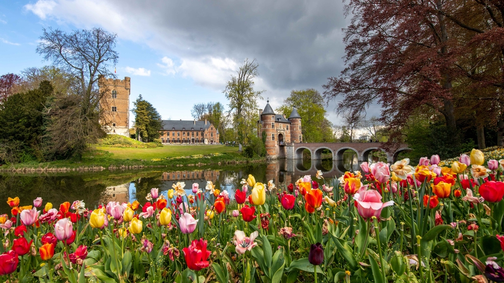 Tulips in front of the castle of Grand-Bigard in Dilbeek (Belgium)
