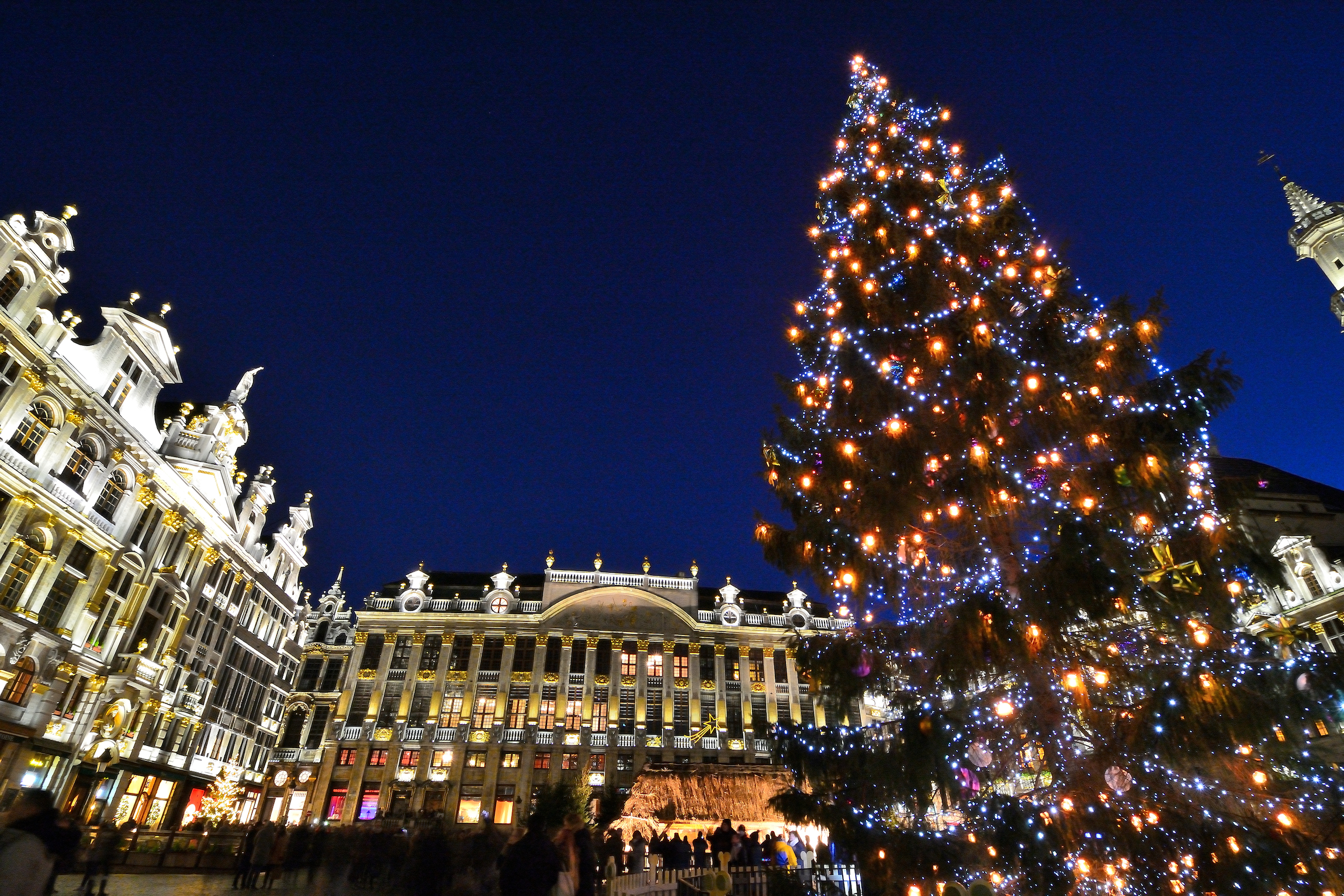 Choinka udekorowana kolorowymi światełkami na Grand Place Brussel.
