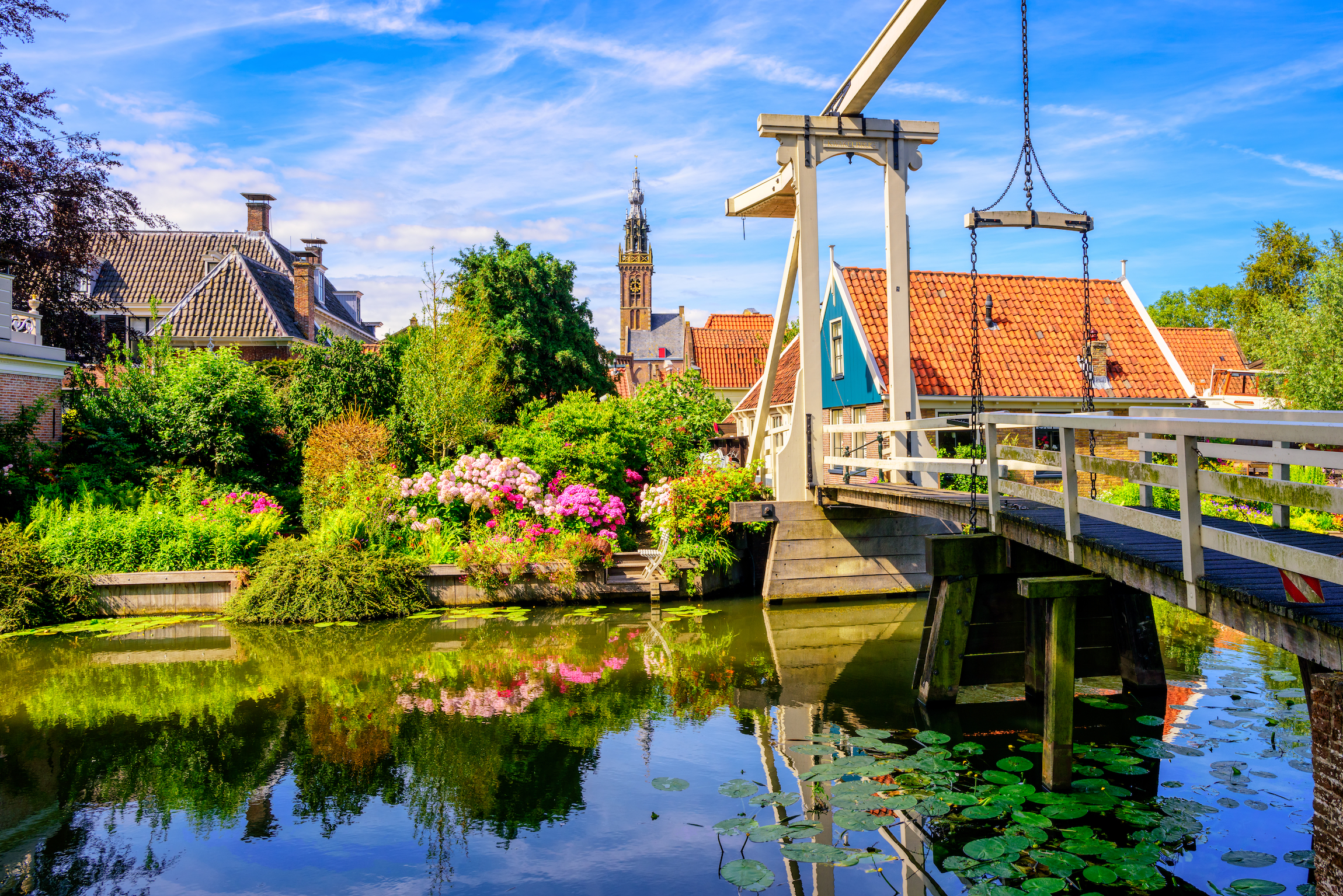 Miasto Edam w Holandii Północnej, widok na zabytkowy drewniany most Kwakelbrug i tradycyjne domy w centrum starego miasta
